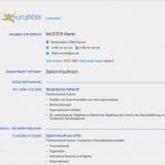 Lebenslauf Business Vorlage Fabelhaft Europass Lebenslauf Muster