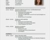 Lebenslauf Business Vorlage Gut Musterlebenslauf
