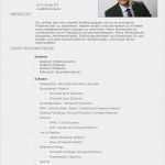 Lebenslauf Business Vorlage Inspiration Luis Paniccia Lebenslauf 2015