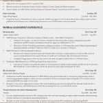 Lebenslauf Business Vorlage Wunderbar 11 Lebenslauf Agentur Nyc Vorlagen123 Vorlagen123