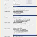 Lebenslauf Business Vorlage Wunderbar Vorlage Lebenslauf Pages