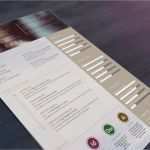 Lebenslauf Design Vorlage Erstaunlich topdesign24