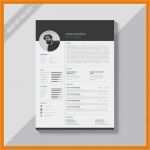 Lebenslauf Design Vorlage Kostenlos Erstaunlich 17 Lebenslauf Design Vorlage Kostenlos