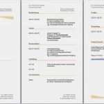 Lebenslauf Design Vorlage Kostenlos Erstaunlich Vorlage Lebenslauf Design Gut Lebenslauf Vorlage Muster