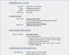 Lebenslauf Design Vorlage Word Best Of Lebenslauf Vorlage Word Kenindle fortzone