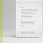 Lebenslauf Design Vorlage Word Erstaunlich Bewerbung Vorlage Vom Designer Für Word & Freie Fice