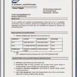 Lebenslauf Design Vorlage Word Kostenlos Hübsch Gallerphot Lebenslauf Design Vorlage Word