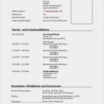 Lebenslauf Din 5008 Vorlage Großartig 12 Din 5008 Lebenslauf