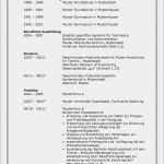 Lebenslauf Din 5008 Vorlage Word Download Erstaunlich Beste Lebenslauf Muster Sinnvoll Bewerbungsschreiben Muster