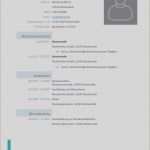 Lebenslauf Din 5008 Vorlage Word Download Großartig Anschreiben Bewerbung Muster Word Galerie – Lebenslauf Din 5008