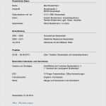 Lebenslauf Din 5008 Vorlage Word Download Wunderbar 5008 Machen Lebenslauf Vorlage Frau Frisch Din 5008 Lebenslauf