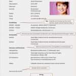 Lebenslauf Duales Studium Vorlage Best Of 13 Perfekt Muster Lebenslauf Duales Studium format Zum