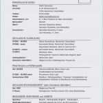 Lebenslauf Duales Studium Vorlage Wunderbar 15 Lebenslauf Duales Studium