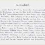 Lebenslauf Einbürgerung Vorlage Erstaunlich Einbürgerung Lebenslauf Genial Die Fabelhaften