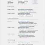 Lebenslauf Einbürgerung Vorlage Erstaunlich Vorlage Für Lebenslauf Neu Einzigartiges Lebenslauf Für