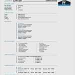 Lebenslauf Einbürgerung Vorlage Fabelhaft 17 Kreativer Lebenslauf Muster