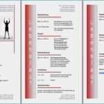 Lebenslauf Einbürgerung Vorlage Genial 8 9 Lebenslauf Einbürgerung Vorlage Auterive31 Kostenlose