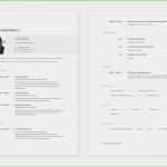 Lebenslauf Einbürgerung Vorlage Gut Lebenslauf Für Einbürgerung Einzigartig Für Einbürgerung