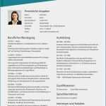 Lebenslauf Elternzeit Vorlage Einzigartig 16 Lebenslauf Muster Elternzeit Avatarswizard Lebenslauf