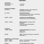 Lebenslauf Elternzeit Vorlage Erstaunlich Lebenslauf Vorlage Hausfrau Erstaunlich Elternzeit Im