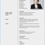 Lebenslauf Elternzeit Vorlage Luxus Elternzeit Im Lebenslauf tolle Für Foto Im Lebenslauf