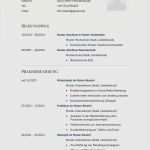 Lebenslauf Elternzeit Vorlage Luxus Lebenslauf Vorlage Hausfrau Erstaunlich Elternzeit Im