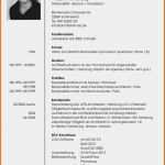Lebenslauf Elternzeit Vorlage Neu 16 Lebenslauf Muster Elternzeit Avatarswizard Lebenslauf