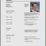 Lebenslauf Elternzeit Vorlage Wunderbar 10 Lebenslauf Mit Elternzeit