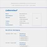 Lebenslauf Elternzeit Vorlage Wunderbar Vorlage 31 Tabellarischer Lebenslauf