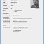 Lebenslauf Für Ausbildung Vorlage Word Großartig Tabellarischer Lebenslauf Pdf