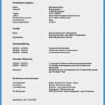 Lebenslauf Für Einbürgerung Vorlage Einzigartig Einbürgerung Lebenslauf Vorlage Schön Tabellarischer