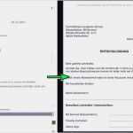 Lebenslauf Für Einbürgerung Vorlage Wunderbar Vorlage Für Lebenslauf Neu Einzigartiges Lebenslauf Für