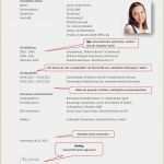 Lebenslauf Für Schüler Vorlage Word Bewundernswert Lebenslauf 8 Klasse 12 Lebenslauf Muster Schüler