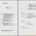 Lebenslauf Für Schüler Vorlage Word Elegant Lebenslauf Schüler Vorlage Word Elegant 6 Tabellarischer