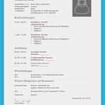 Lebenslauf Für Schüler Vorlage Word Erstaunlich Lebenslauf Vorlage 2018 Kostenloser Download