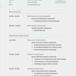 Lebenslauf Für Schüler Vorlage Word Schönste Schuler Lebenslauf Muster Beispiel Vorlage Vorstellung