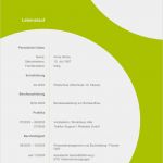 Lebenslauf Gestalten Vorlage Angenehm Musterbewerbung Vorlagen Bewerbung Agentur