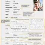 Lebenslauf Gestalten Vorlage Bewundernswert Lebenslauf Gestalten Resignation format – Vorlagen 365