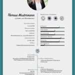 Lebenslauf Gestalten Vorlage Cool Bildergebnis Für Moderner Lebenslauf