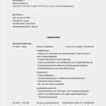 Lebenslauf Gestalten Vorlage Neu How to Make A Resume On Word 2007 From Frisches 30
