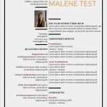 Lebenslauf Gute Vorlage Best Of Lebenslauf Beispiel Mit Stichworten Zu Kompetenzen Cv