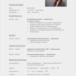 Lebenslauf HTML Vorlage Beste Tabellarischer Lebenslauf Vorlage Kostenlose Muster Zum