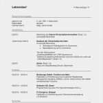 Lebenslauf HTML Vorlage Erstaunlich Lebenslauf Vorlage 2016 Dokument Blogs