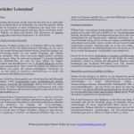 Lebenslauf In Aufsatzform Vorlage Großartig Einzigartiges Lebenslauf In Aufsatzform Bundespolizei