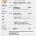 Lebenslauf In Englisch Vorlage Einzigartig Typisch Cv Muster Englisch Lebenslauf In Englisch