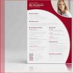 Lebenslauf In Englisch Vorlage Elegant Bewerbung Auf Englisch Mit Cover Letter Und Cv Zum Download
