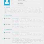 Lebenslauf In Englisch Vorlage Erstaunlich Muster Lebenslauf Word Muster Lebenslauf In Englisch