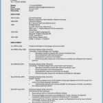 Lebenslauf In Englisch Vorlage Inspiration 16 Cv Englisch Beispiel