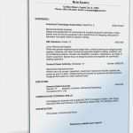 Lebenslauf Ingenieur Vorlage Erstaunlich Lebenslauf Ingenieur Englisch