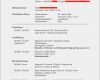 Lebenslauf International Vorlage Elegant Curriculum Vitae Download Deutsch Azwg